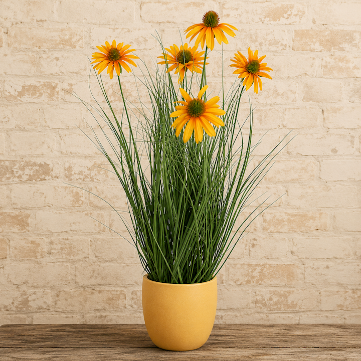 CHRYSANTHEMUM ONION GRASS BONSAI 60cm